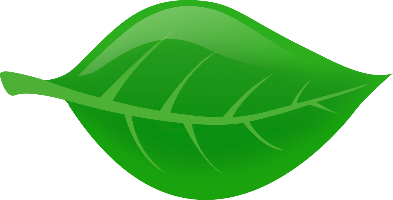 Green Leaf Illustration